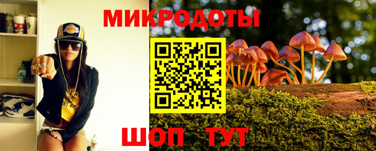 Псилоцибиновые грибы GOLDEN TEACHER  Галлюциногенные грибы Cubensis  Кушва  Вход с VPN 
